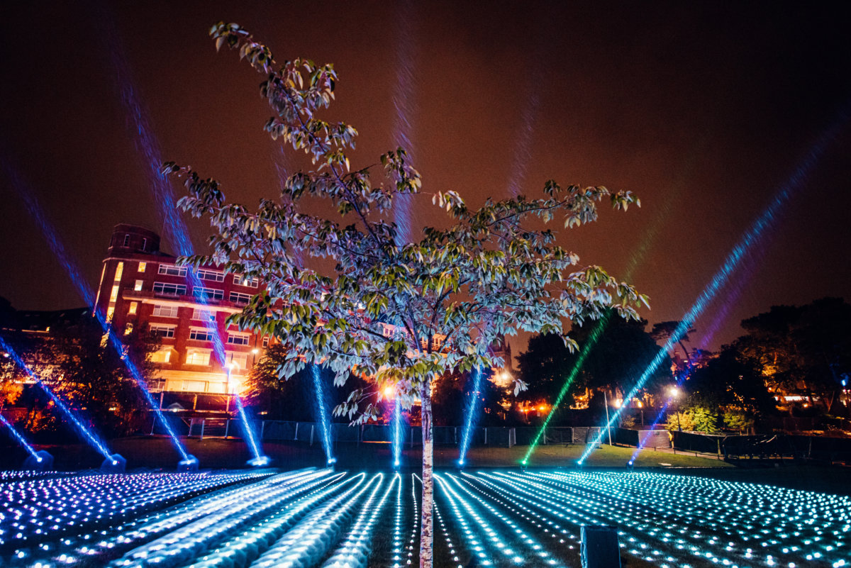 Bute Park's Magical New Light Trail in the City This Christmas