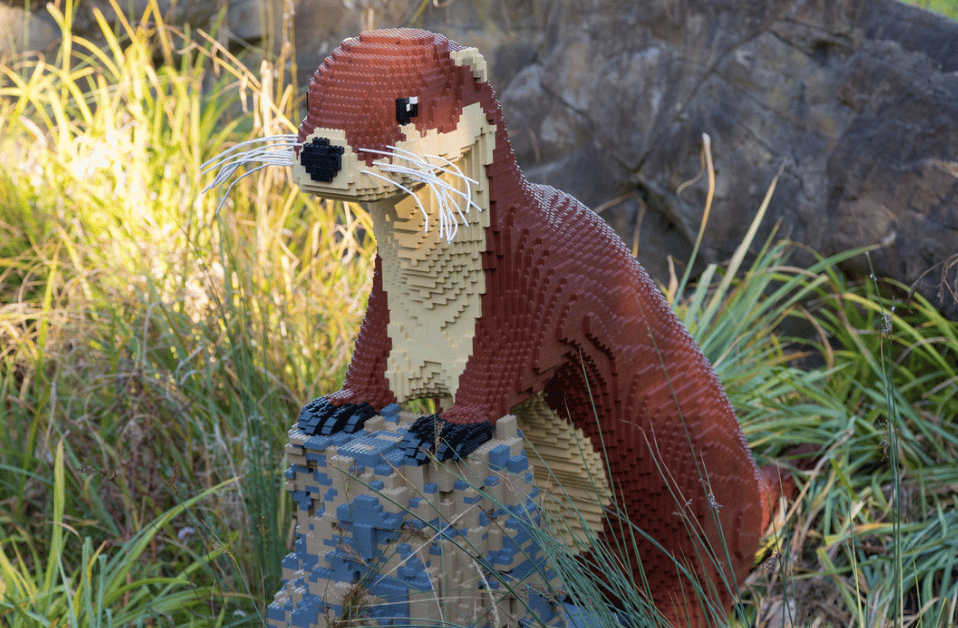 Grande mattone Safari 2019, uccello del paradiso fatto di Lego, giardino  RHS Wisley, Woking, Surrey, Inghilterra, Gran Bretagna, Regno Unito, Gran  Bretagna, Europa Foto stock - Alamy