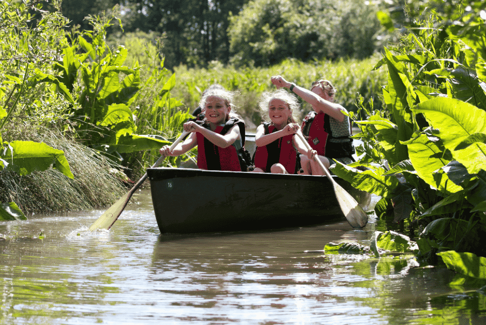 Find Lottie the Otter and Friends on the Lego Brick Wetlands Safari