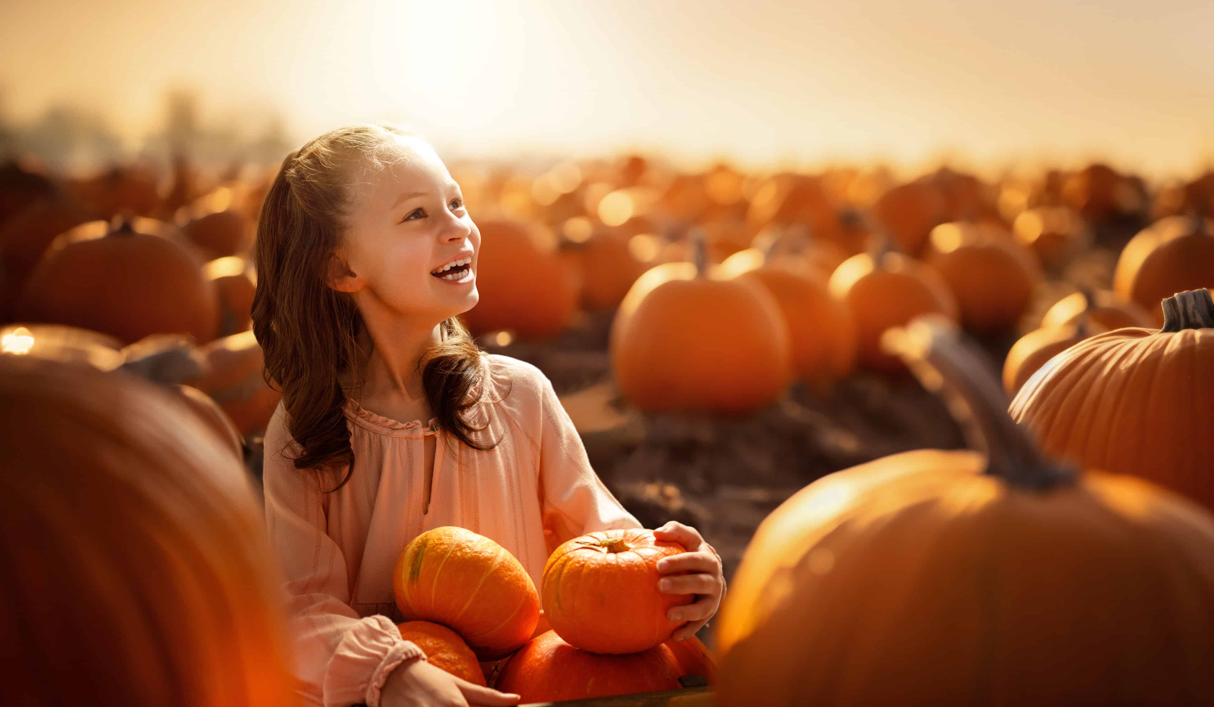 Make it an Halloween at the Cardiff Pumpkin Festival