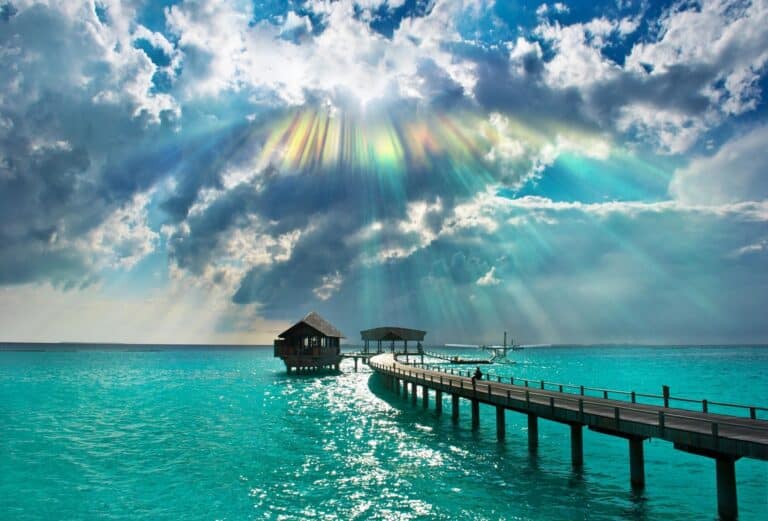 Ocean Film Festival Tour Is Back Ocean Film Festival Tour Is Back