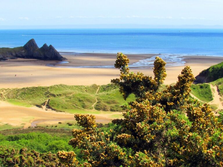 Sands Of Life – Revitalising Wales Dunes Sands Of Life – Revitalising Wales Dunes