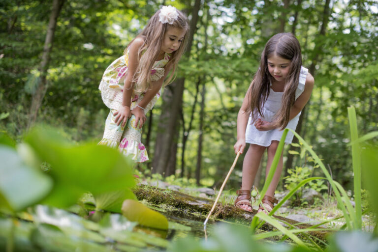 Go Pond Dipping With The Kids Go Pond Dipping With The Kids