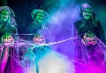 Scream Time Returns: Dare You Enter Margam Park This Halloween?