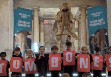 Tom Bones’ Unveiled as the Winning Name for National Museum Cardiff’s Mammoth