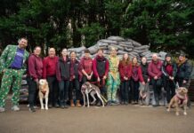 Christmas Comes Early at Hope Rescue as Will Young Delivers 64,000 Meals of His Dog Food